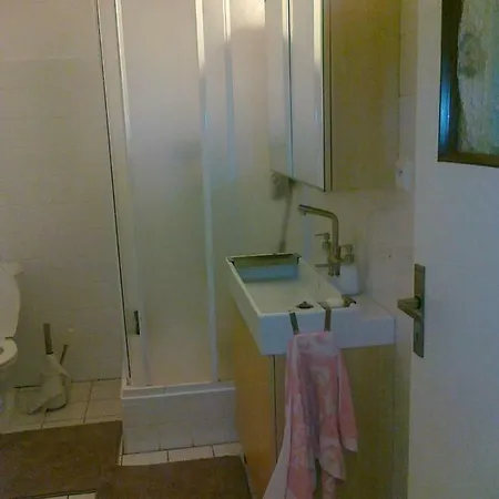 Apartman U Lesa, Apartment *